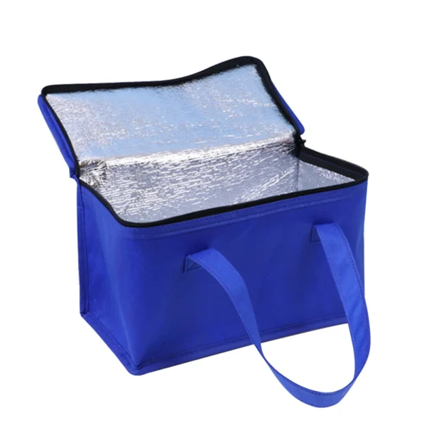 Food Thermal Bag Picnic Bag Insulation Picnic Ice Pack with Handle Drink Carrier Insulated Bag for Beach Picnic Road Trip Travel