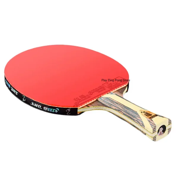 DHS 9 Star 9002 9006 Table Tennis Racket Professional 5 Wood 2 ALC Offensive Ping Pong Racket with Hurricane Sticky Rubber