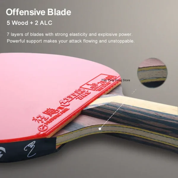 DHS 9 Star 9002 9006 Table Tennis Racket Professional 5 Wood 2 ALC Offensive Ping Pong Racket with Hurricane Sticky Rubber